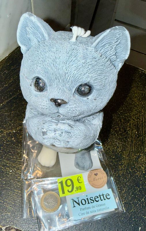 Bougie très grand chat 🐈‍⬛ gris et blanc pailletée ✨ 🕯️ cire de soja végétale