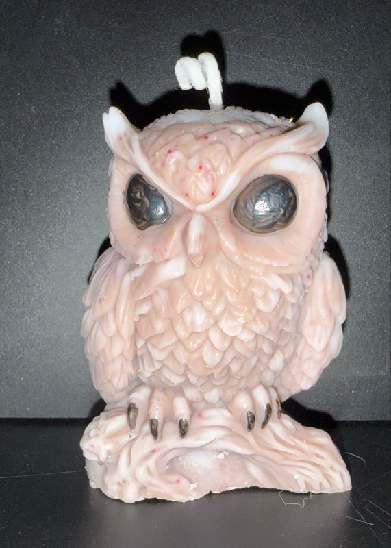 Bougie chouette 🦉 hibou brun yeux noir 🕯️ cire de soja végétale