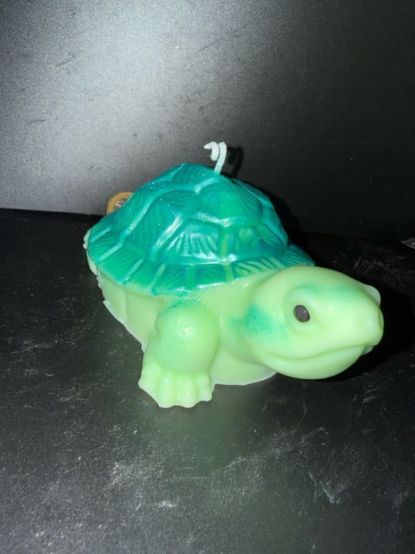 Bougie grosse tortue 🐢 🕯️ cire de soja végétale