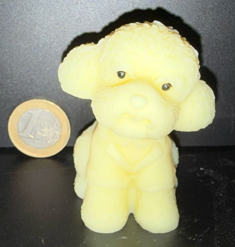 Fondant chien caniche 🐩 🕯️ cire de soja végétale
