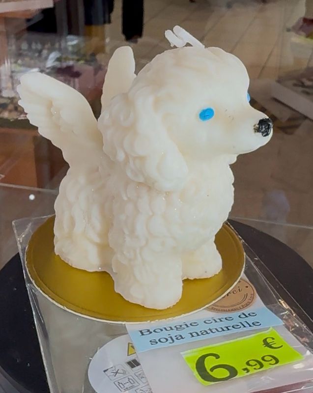 Bougie chien 🐶 ange blanc yeux bleus 😇 🕯️ cire de soja végétale