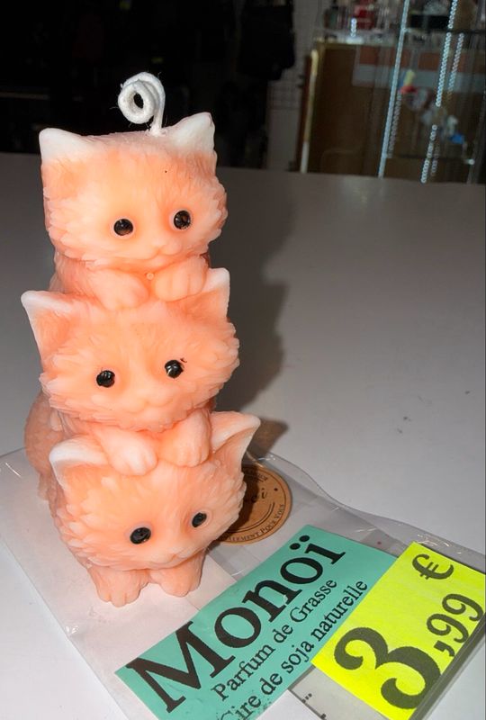 Bougie 🕯️ 3 chats oranges 🐱 cire de soja végétale