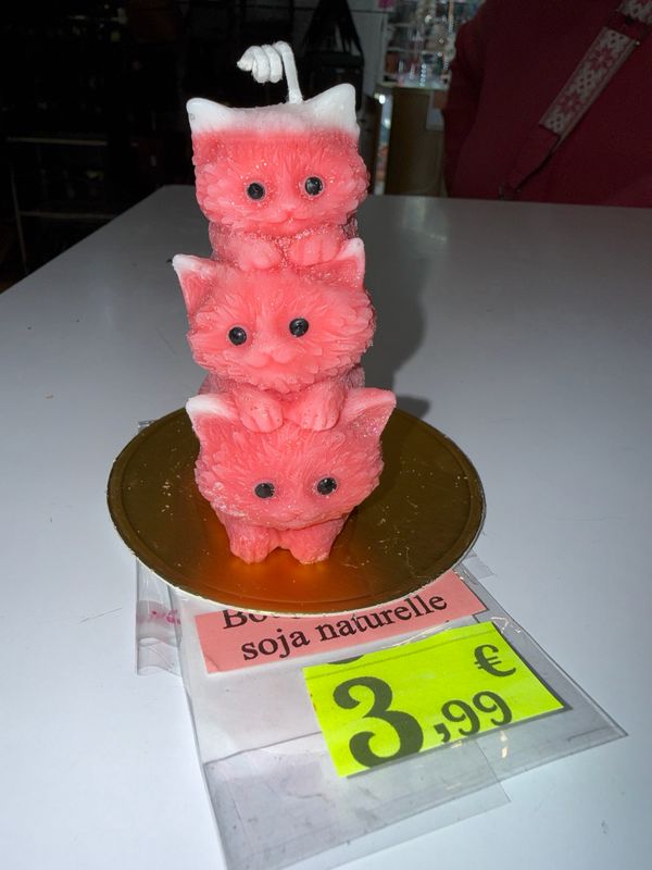 Bougie 🕯️ 3 chats rouges oreilles blanches 🐱 cire de soja végétale