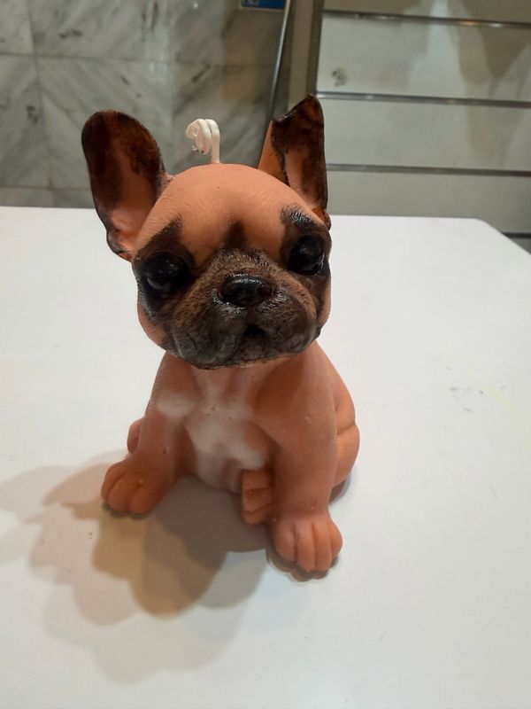 Bougie grand bulldog français 🕯️ cire de soja végétale