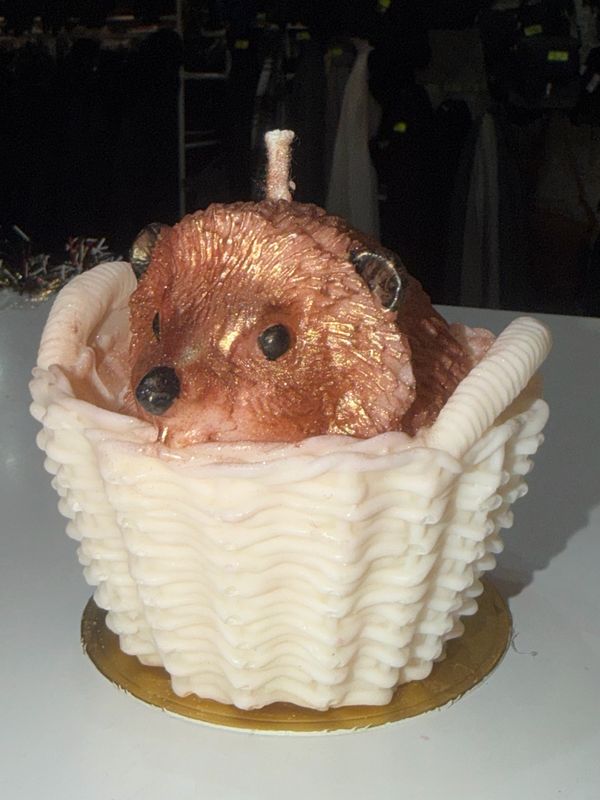 Grosse Bougie hérisson niglo brun dans panier blanc 🦔 cire de soja végétale