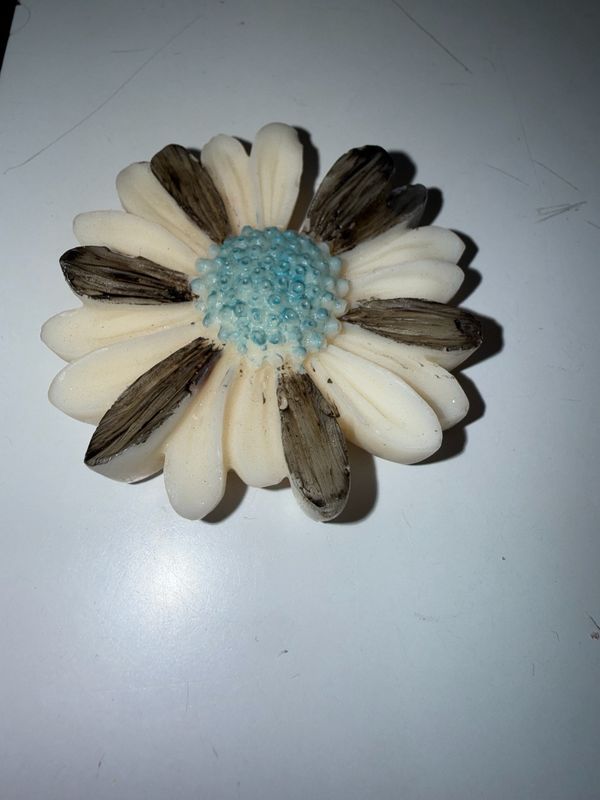 Fondant marguerite noir et blanc 🌼 🕯️ cire de soja végétale et parfum de Grasse