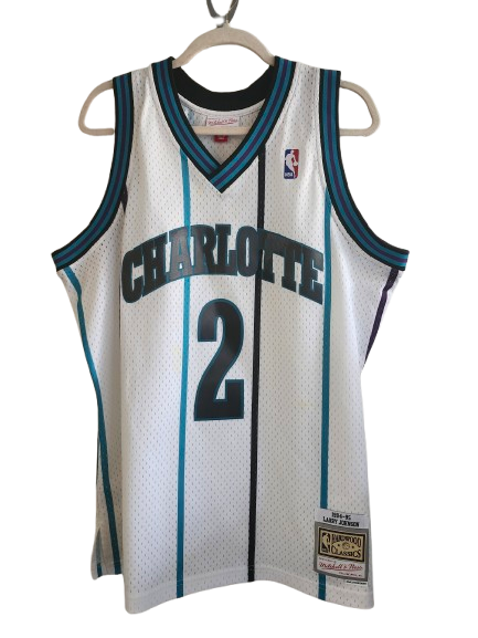 #2 Johnson Charlotte NBA Jersey L