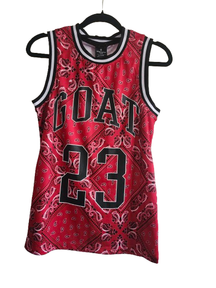 NBA #23 GOAT Red Youth Large 14 Jersey