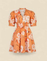 Alice Dress | Ashburn Apricot