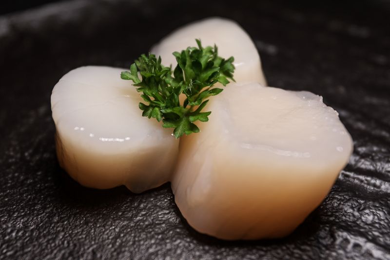 St. Jacob Schelpen (1Stuks)