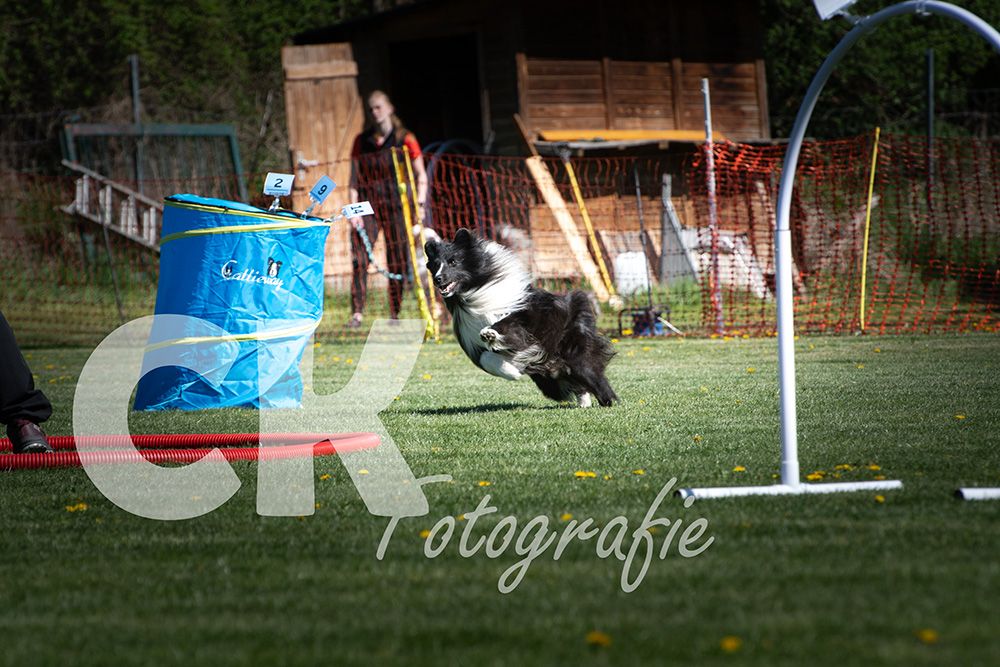 Hoopers Cup I