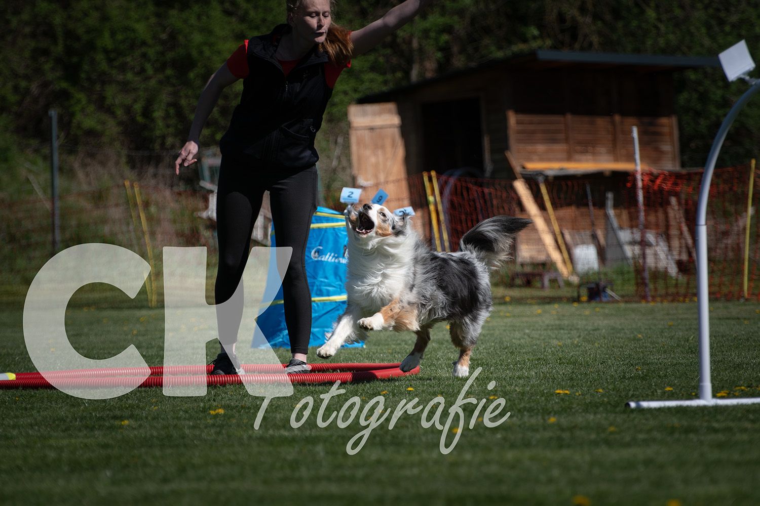 Hoopers Cup I