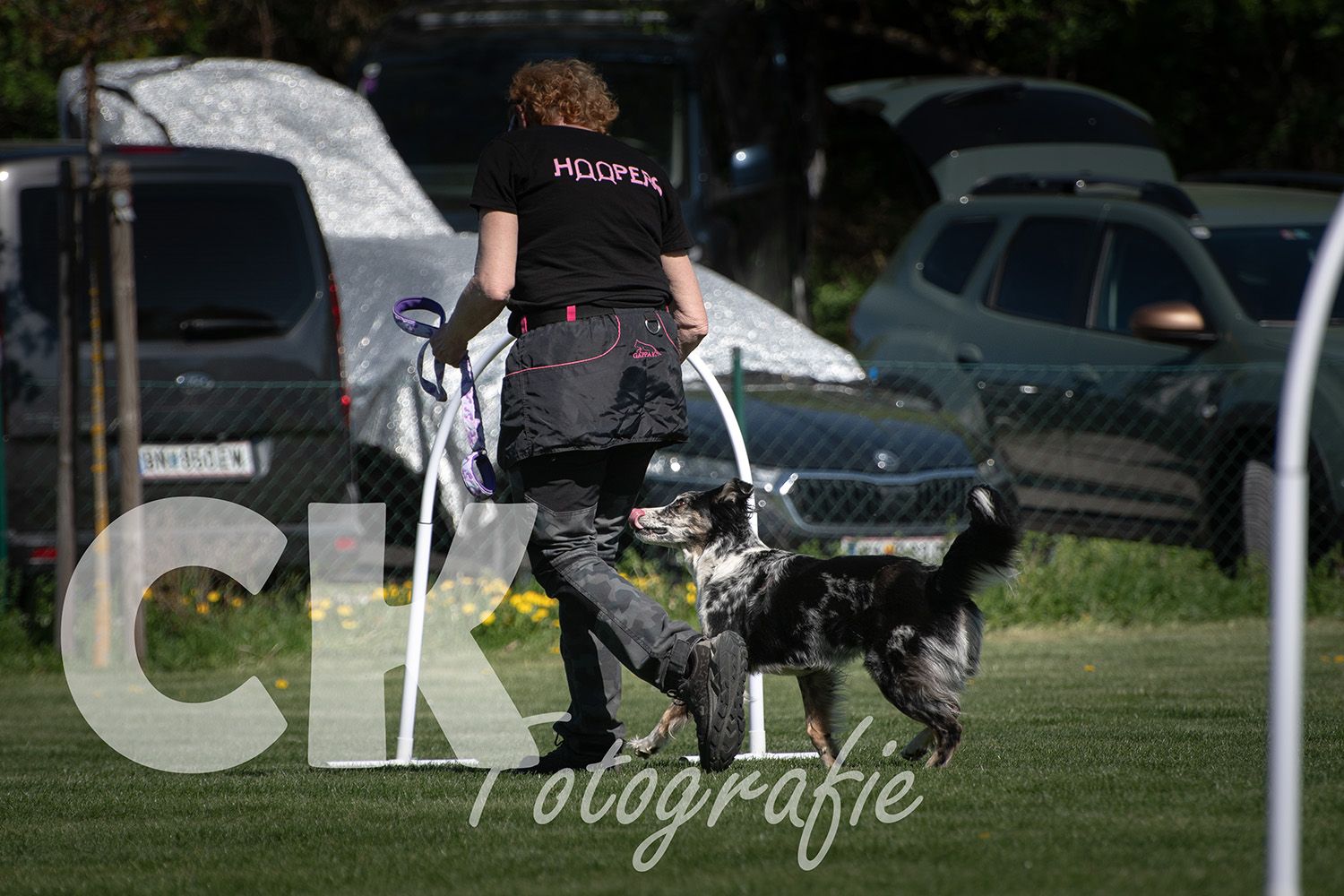 Hoopers Cup I