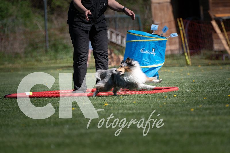 Hoopers Cup I
