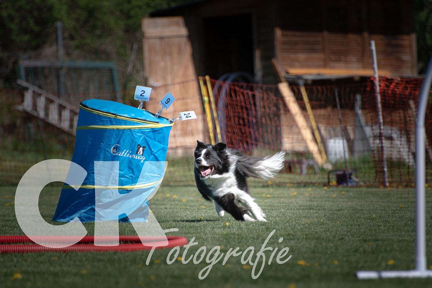 Hoopers Cup I