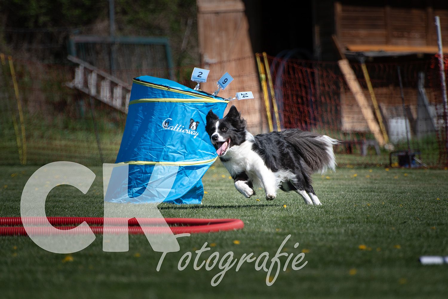 Hoopers Cup I