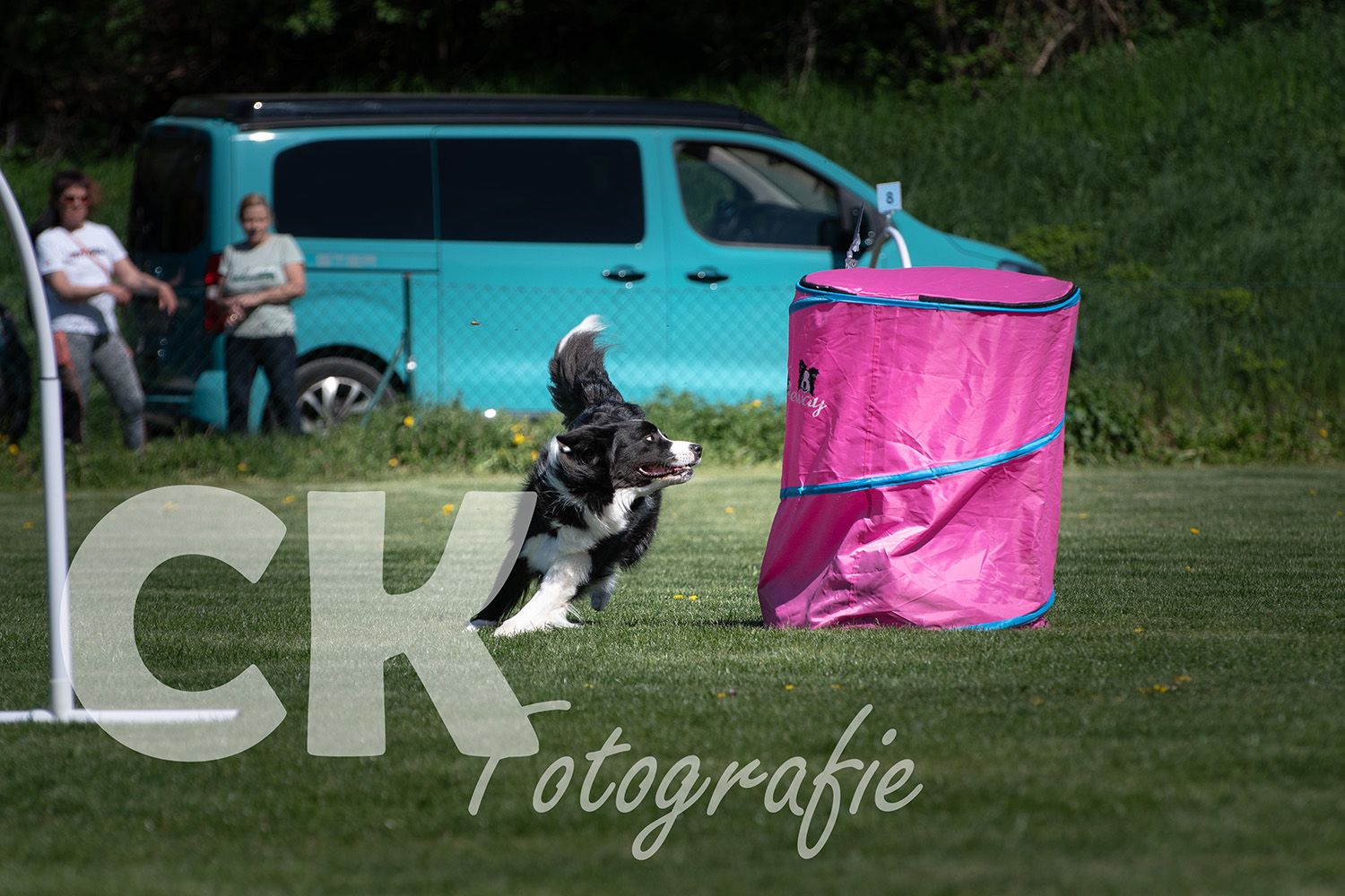 Hoopers Cup I