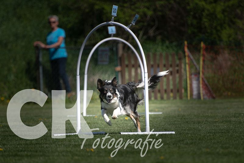 Hoopers Cup I