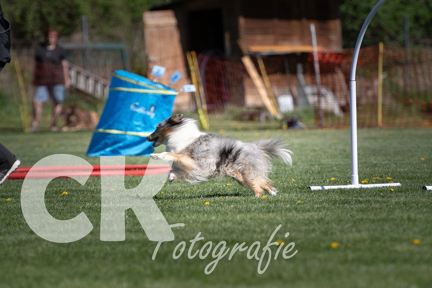 Hoopers Cup I