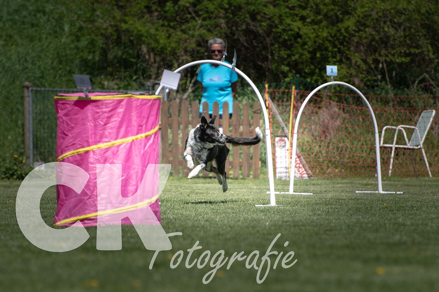 Hoopers Cup I