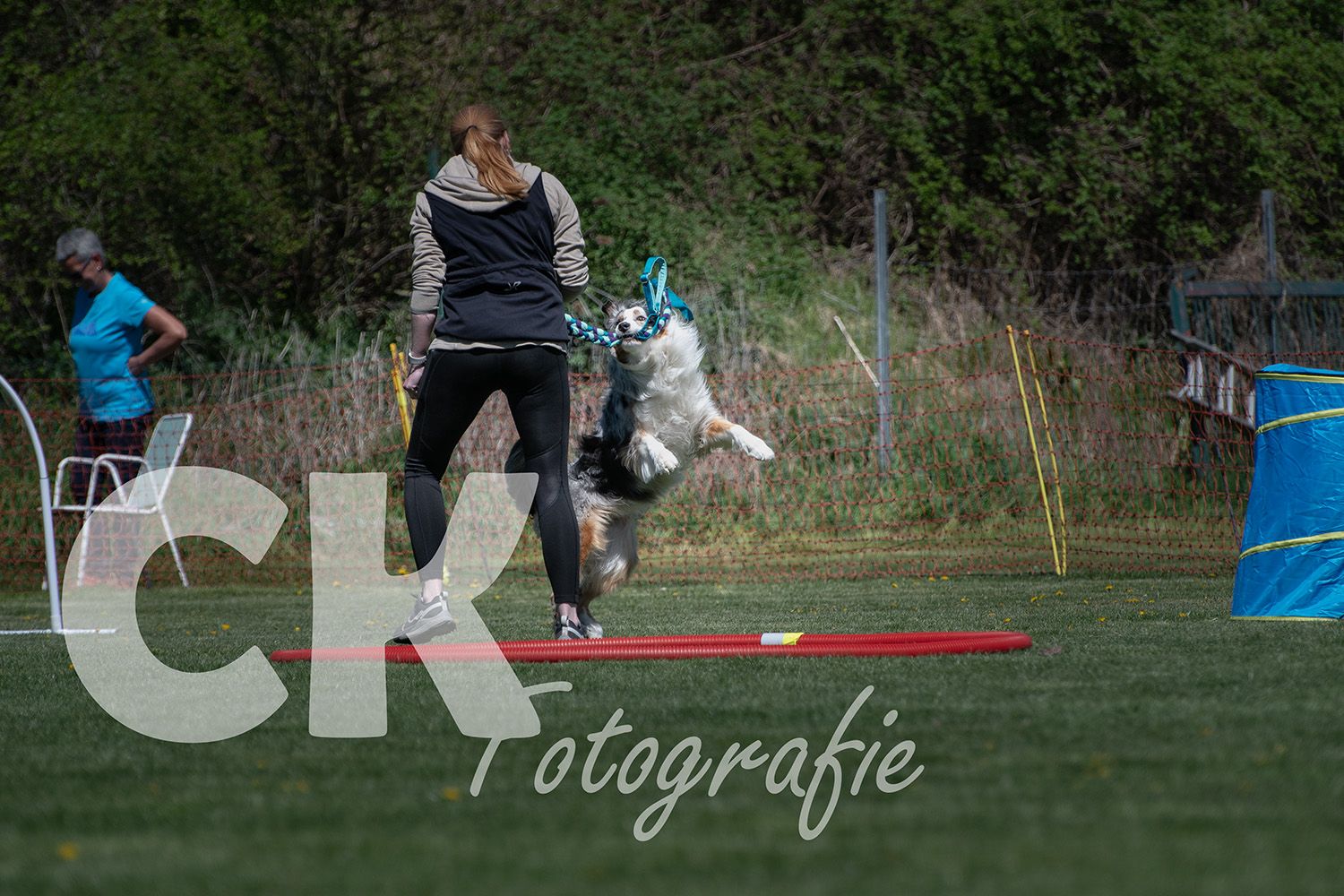 Hoopers Cup I