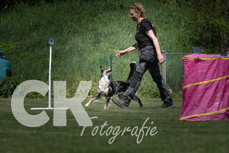 Hoopers Cup I