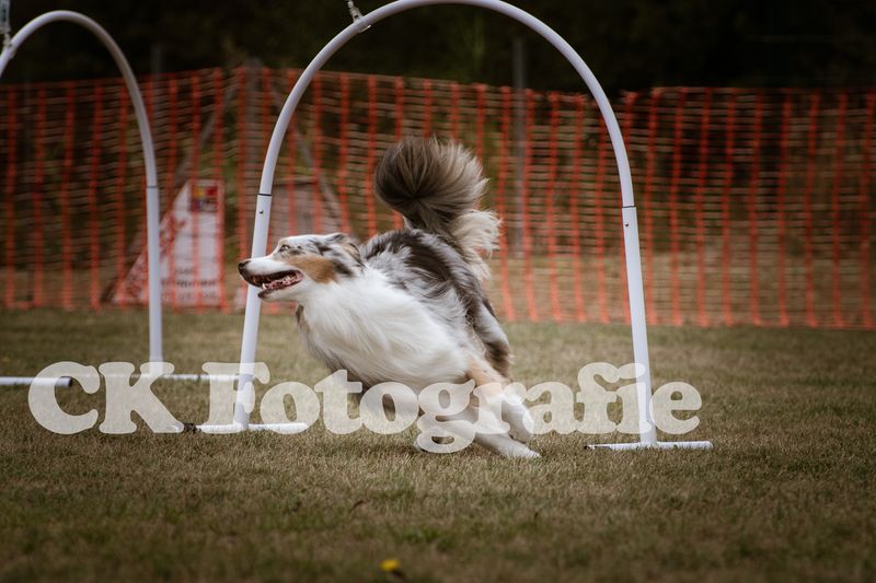 Hoopers Cup FINALE