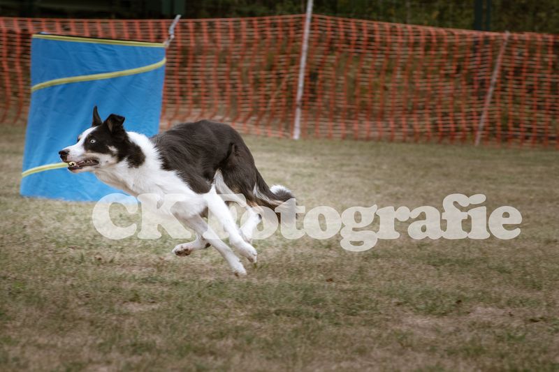 Hoopers Cup FINALE