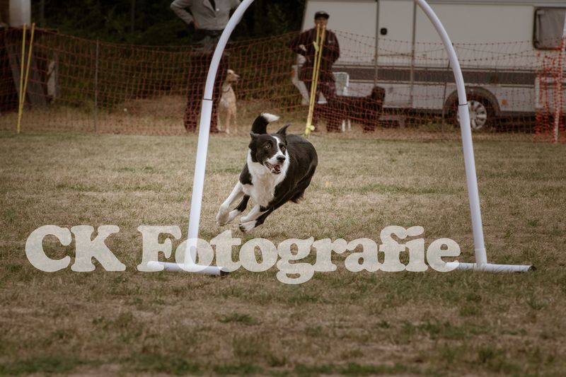 Hoopers Cup FINALE