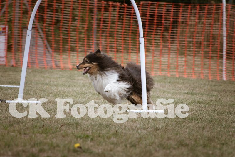 Hoopers Cup FINALE