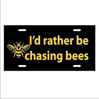CHASING BEES - LICENSE PLATE