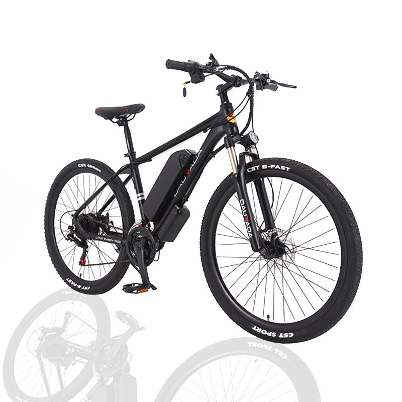 Manufacturer Wholesale Good Quality E Bike Mountain Bike Cheap Price Customized 36V/48V/250W/350W/500W Bicycle Electric Bicycle