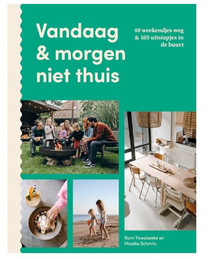 Boek - Vandaag &amp; morgen niet thuis