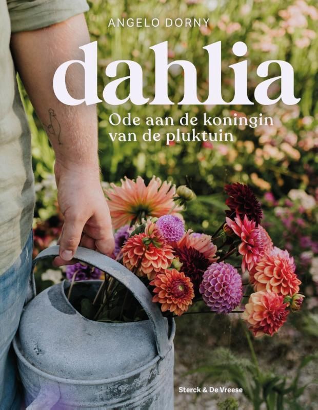 Dahlia - ode aan de koningin van de pluktuin