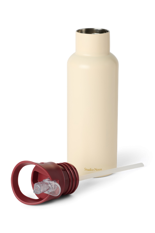 Beige RVS drinkfles 500 ml