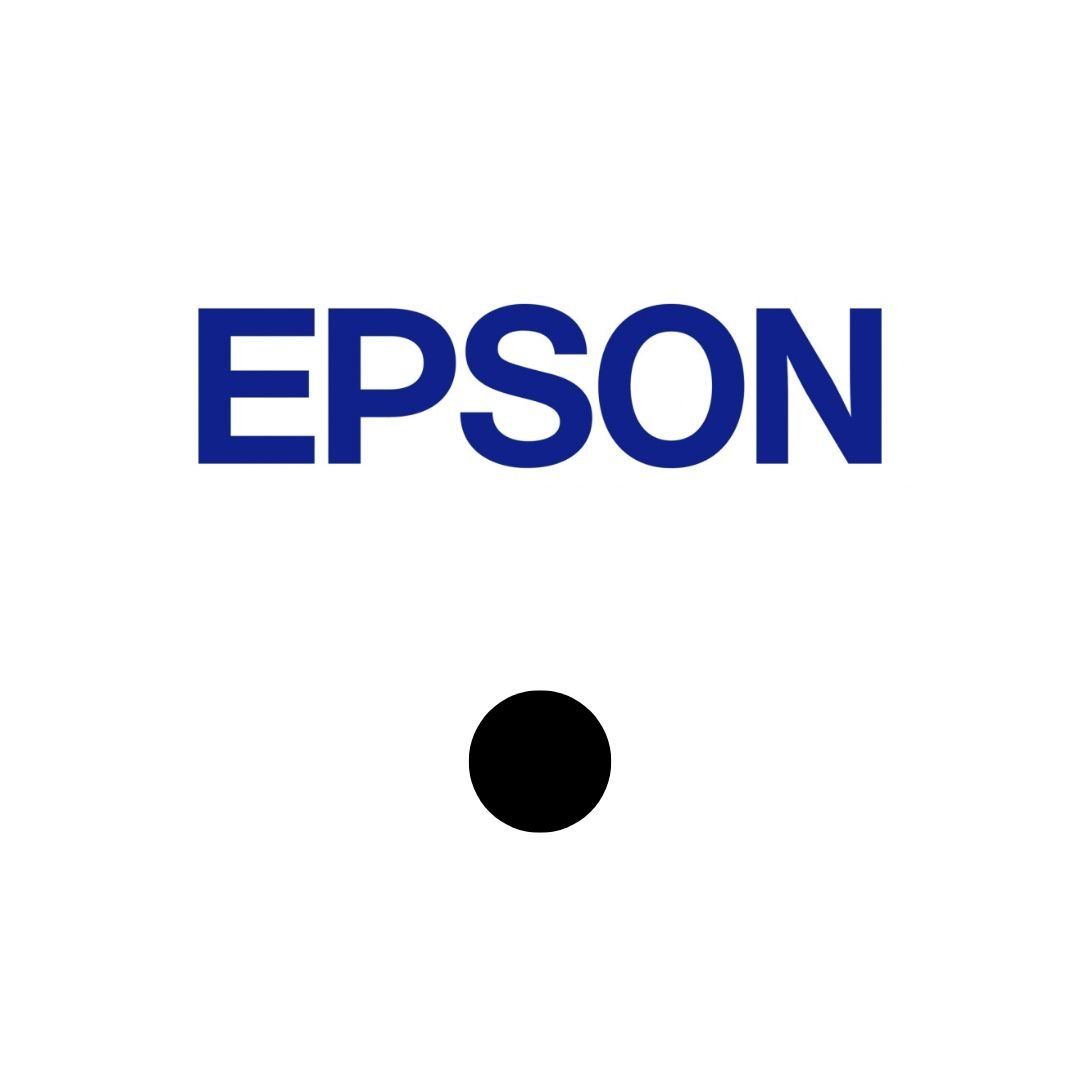 EPSON S015246 - CASSETTE pour caisse enregistreuse