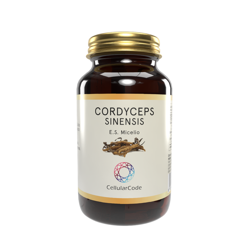 Cordyceps Sinensis Cordyceps Sinensis