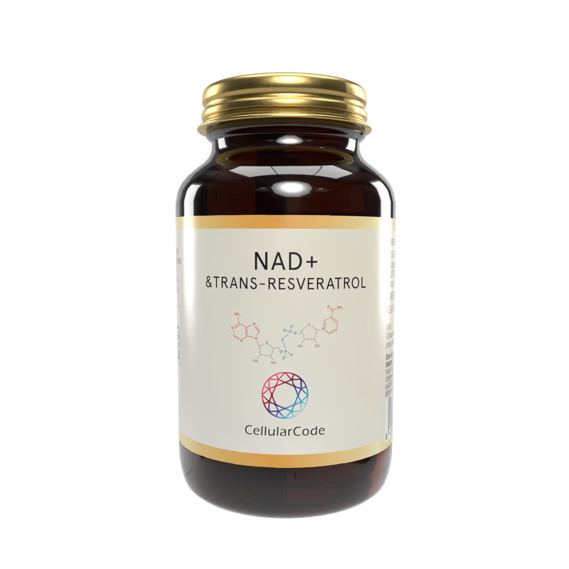 NAD+ + Trans-Resveratrol 30 cápsulas NAD+ + Trans-Resveratrol 30 cápsulas