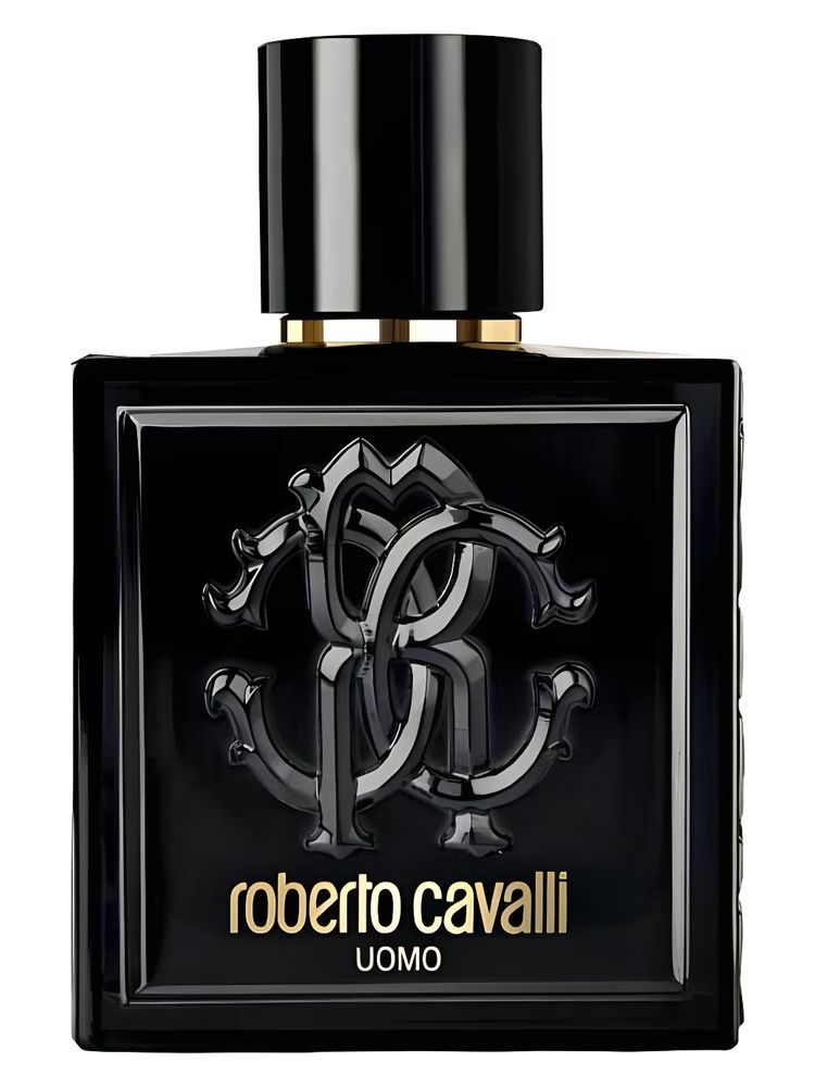 Roberto Cavalli Uomo Roberto Cavalli للرجال