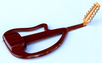 Professional Turkish Electric Oud