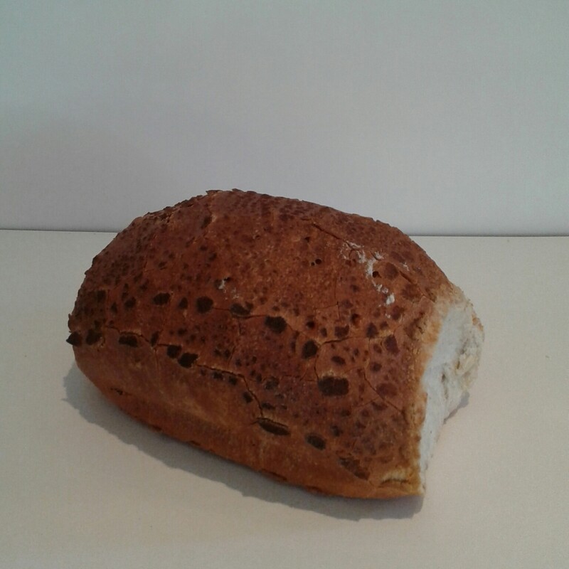 Klein lang tieger wit