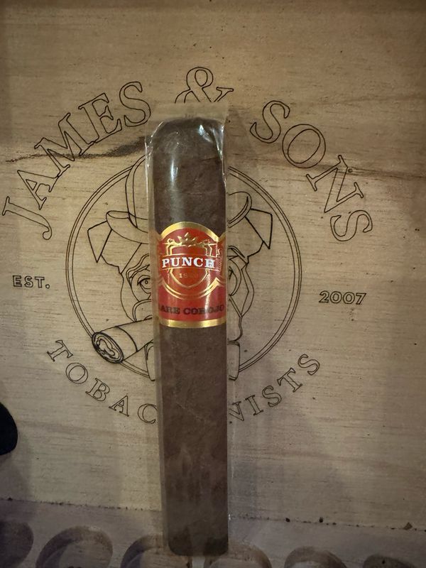 Punch Rare Corojo Elite (5 1/4x45) Single