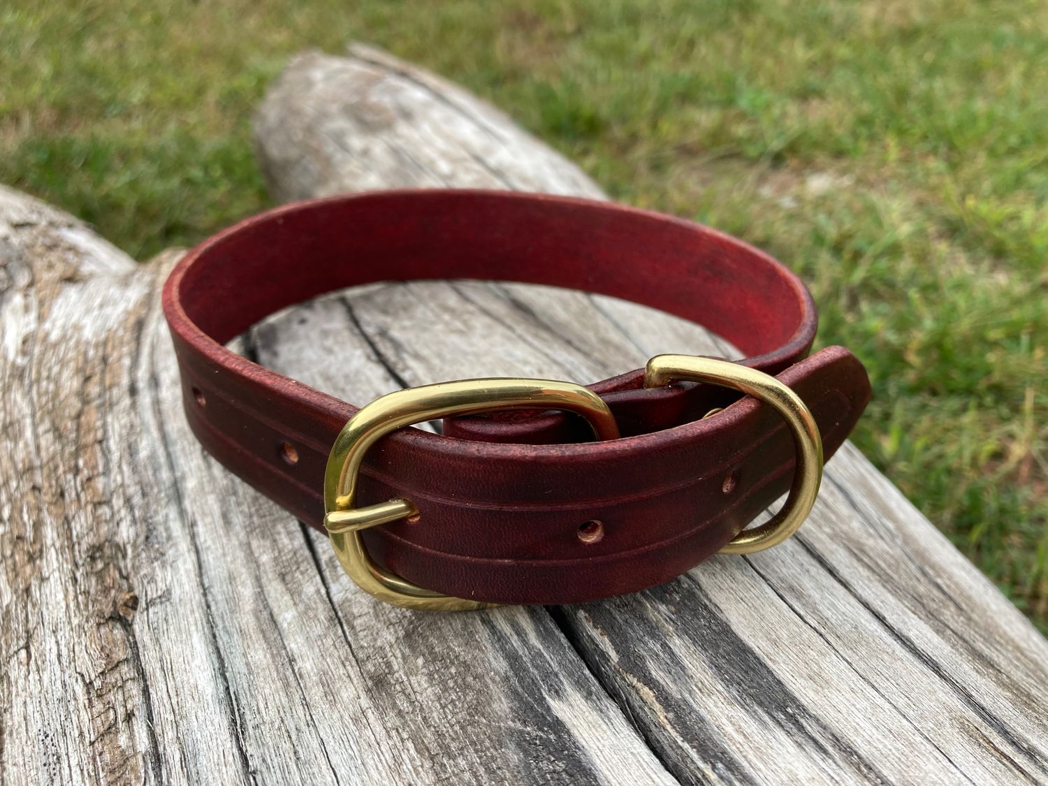 1&quot; Classic Collar