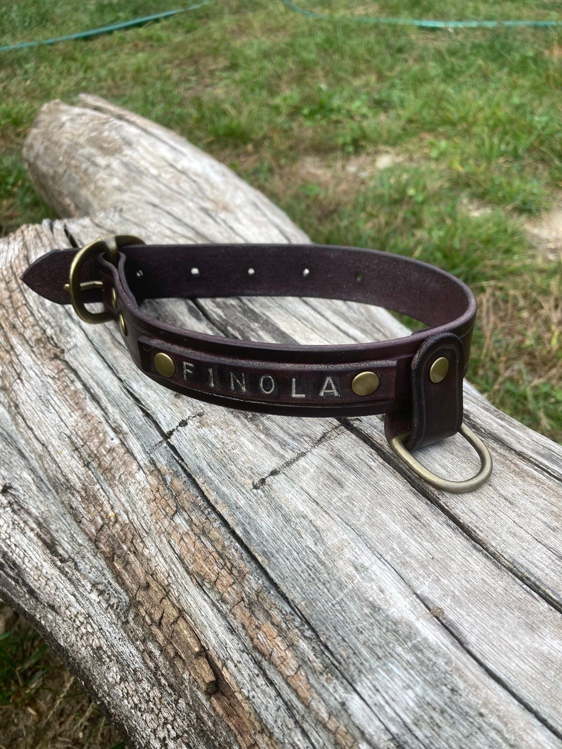 Small Classic Plus Collar in Plum with Leather Name Plate