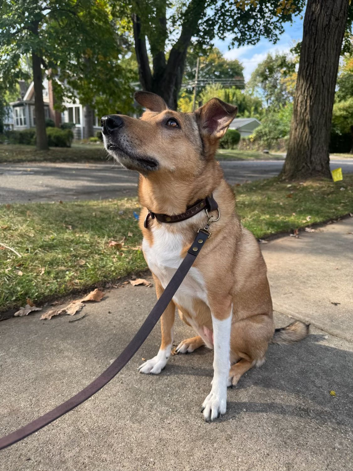 Finola in Classic Leather Walk Set, Aubergine
