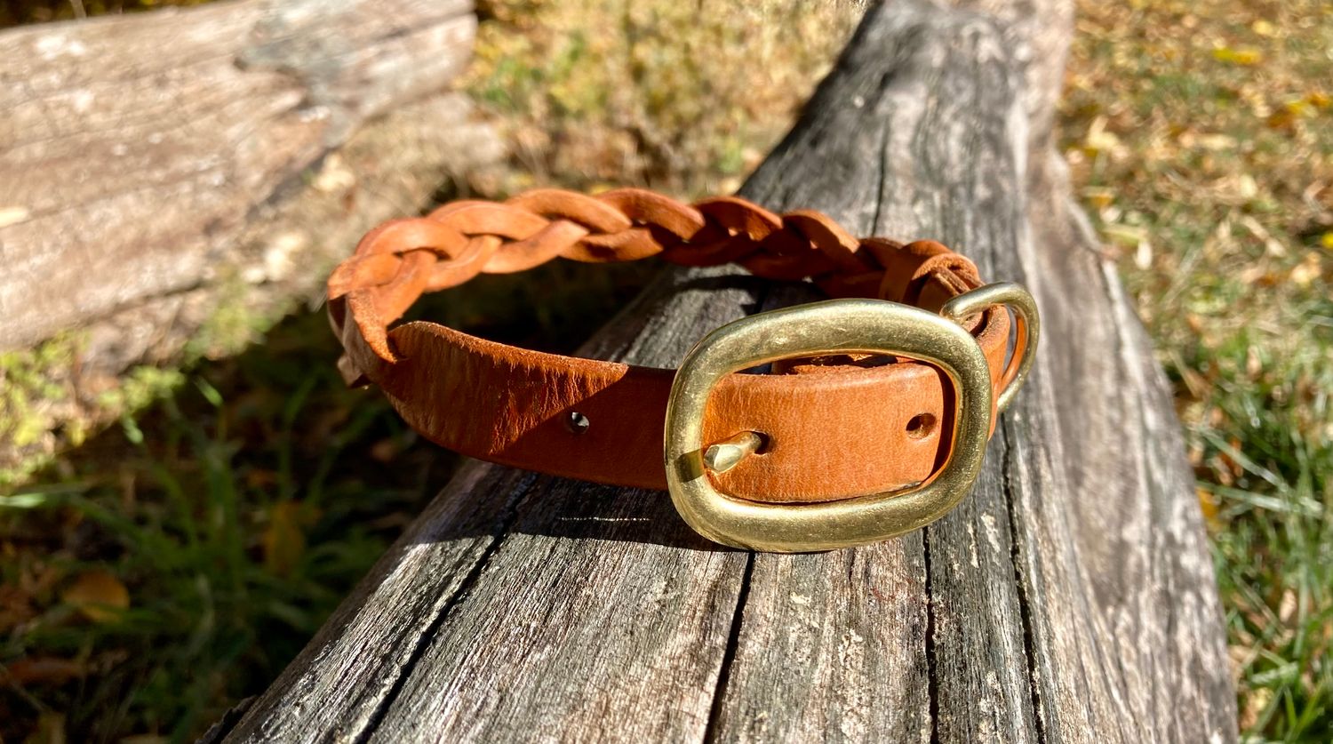 City Collar in Chestnut, 3/4&quot; width