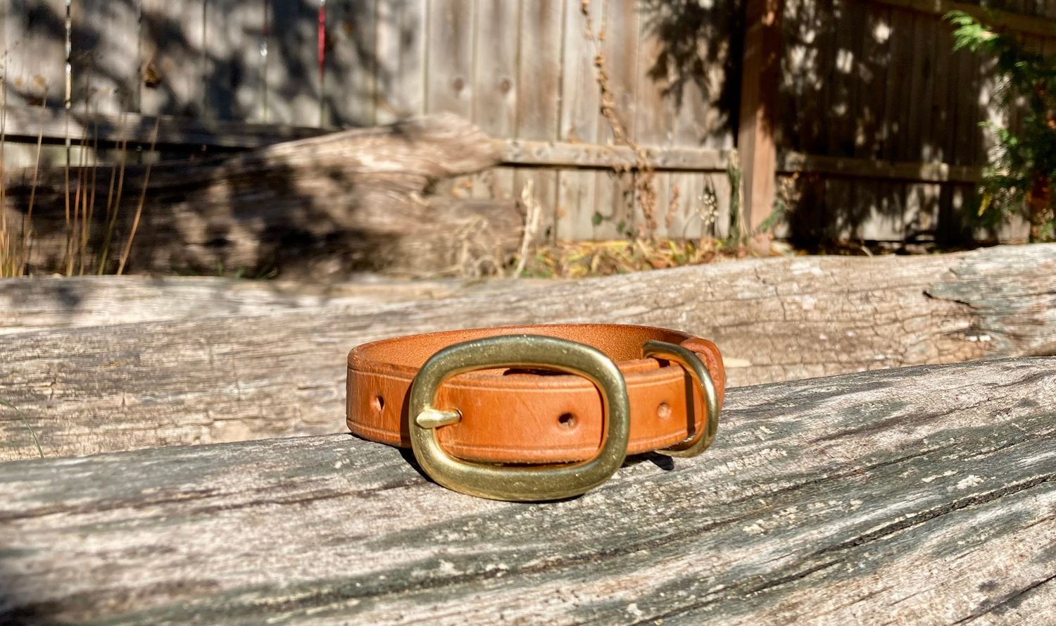 Classic Collar in Chestnut, 3/4" width, size Small