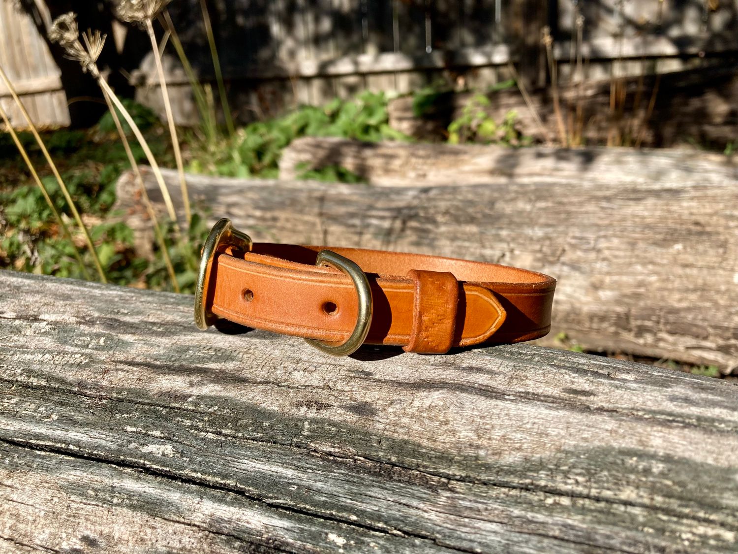 Classic Collar in Chestnut, 3/4" width, size Small