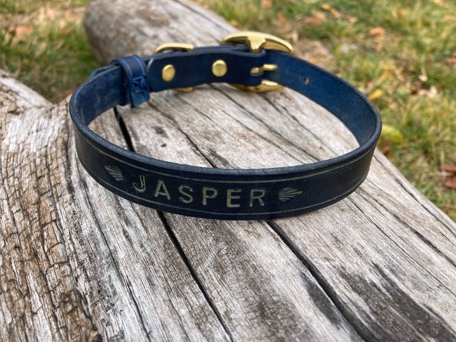 Classic Collar in Royal Blue, 3/4" width, size Medium