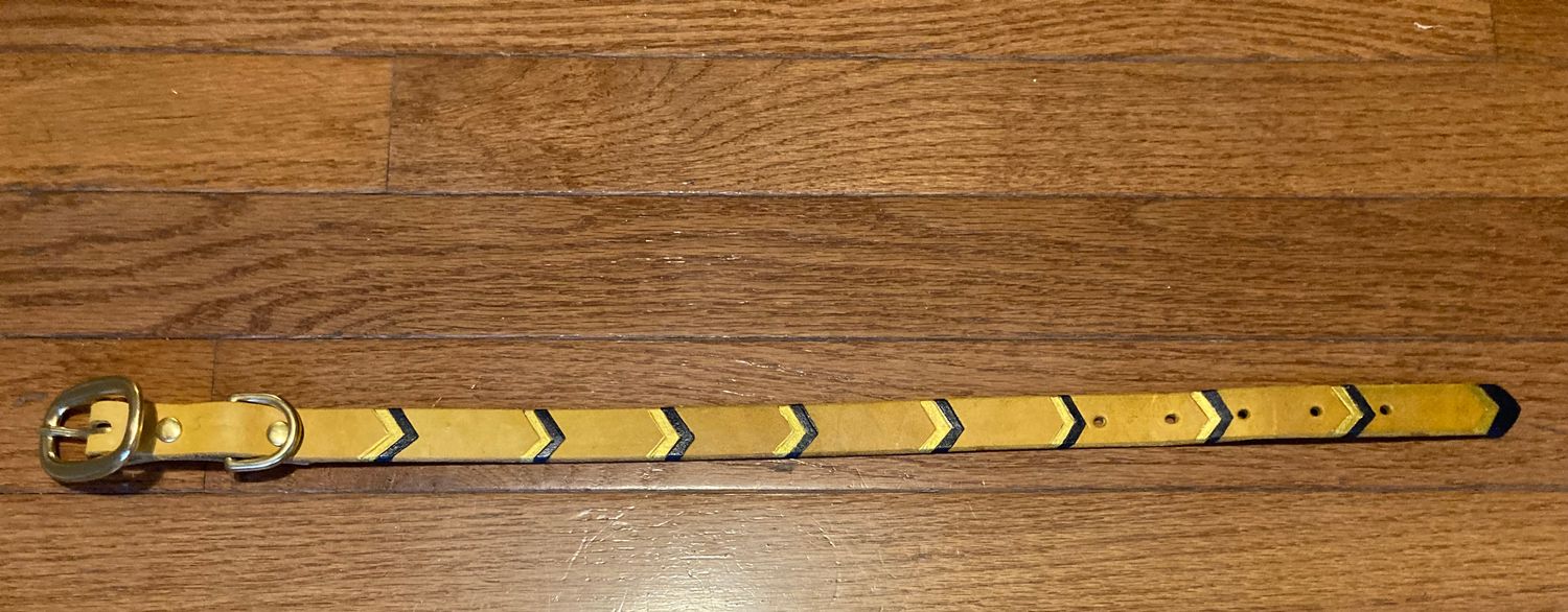 Medium Yellow Collar with Navy and Gold Chevron Accents